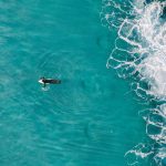 Avoiding Tourist Traps: Tips for a More Authentic Travel Experience