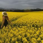 The Ultimate Foodie’s Guide to Culinary Travel Destinations Around the Globe