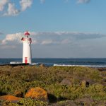 Maximize Your Travel Experience with These Money-Saving Tips