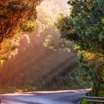 The Travel Safety Checklist: Important Tips for a Safe and Enjoyable Trip