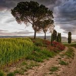 Travel Like a Pro: Expert Hacks to Make Your Trip Stress-Free