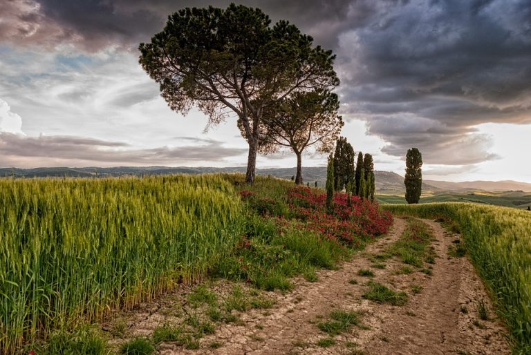 Travel Like a Pro: Expert Hacks to Make Your Trip Stress-Free