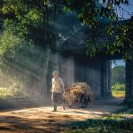 From Packing to Planning: The Ultimate Touring Tips You Need