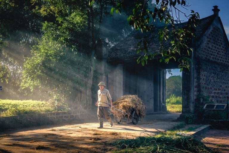 From Packing to Planning: The Ultimate Touring Tips You Need