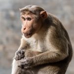 Travel Tales: Stories of Discovery, Adventure, and Inspiration