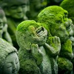 The Dos and Don’ts of Group Tours: Tips for a Smooth Experience