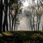 – The Ultimate Guide to Solo Travel: How to Plan, Pack, and Explore the World Alone